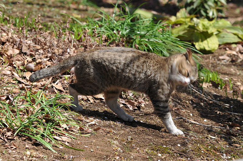 image0140