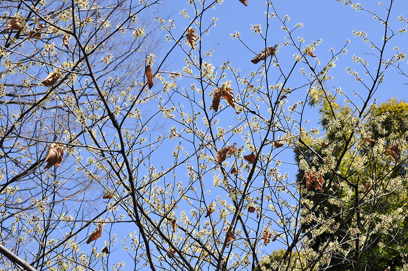 image0154