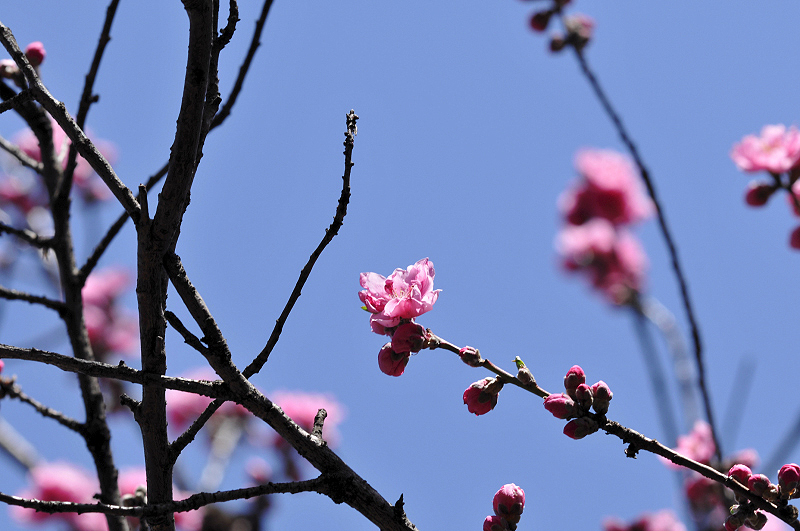 image0073