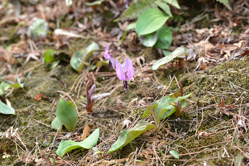 image0083