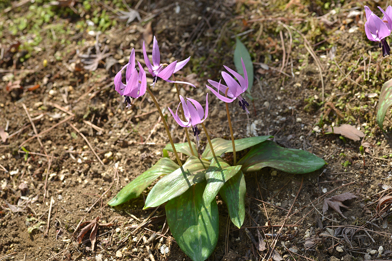 image0101