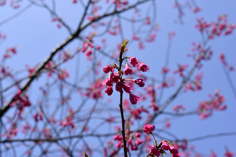 image0140