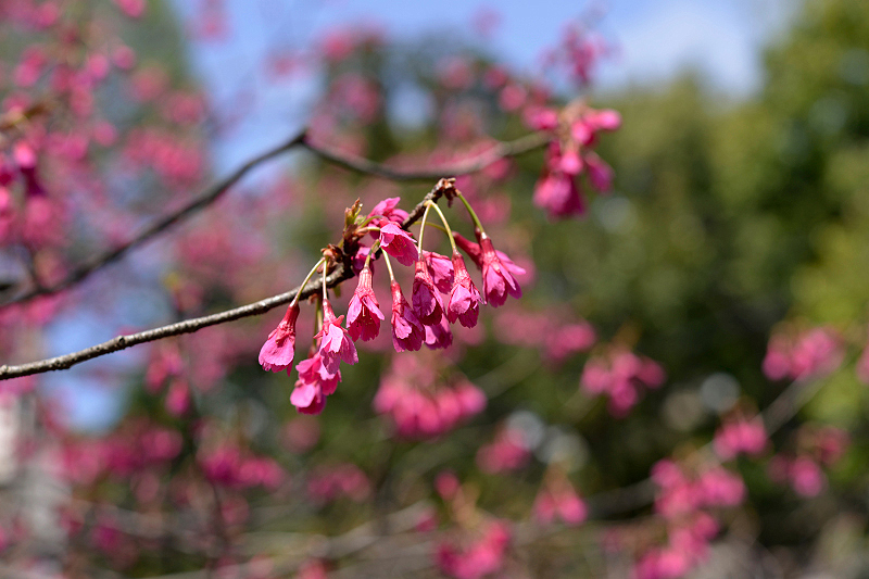 image0141
