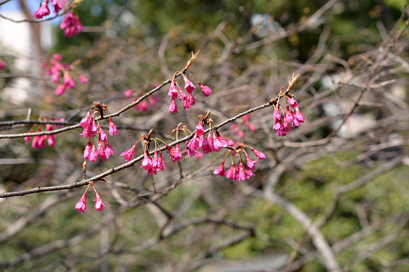 image0142