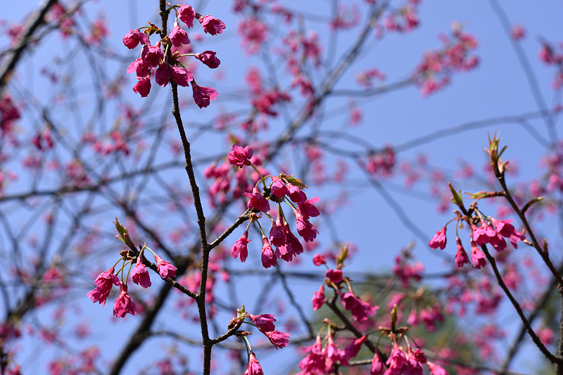 image0144