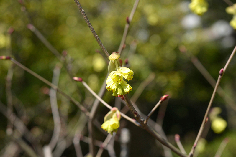 image0148