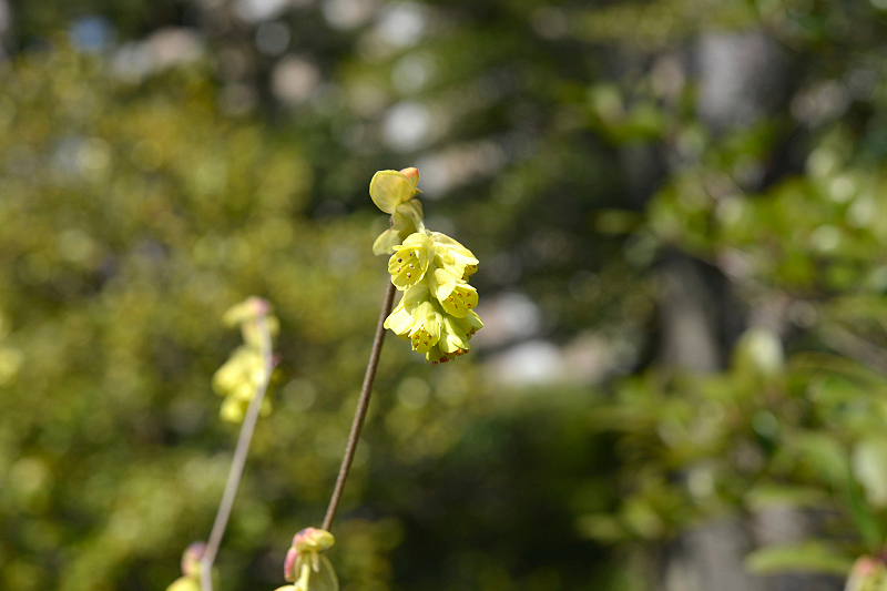 image0150