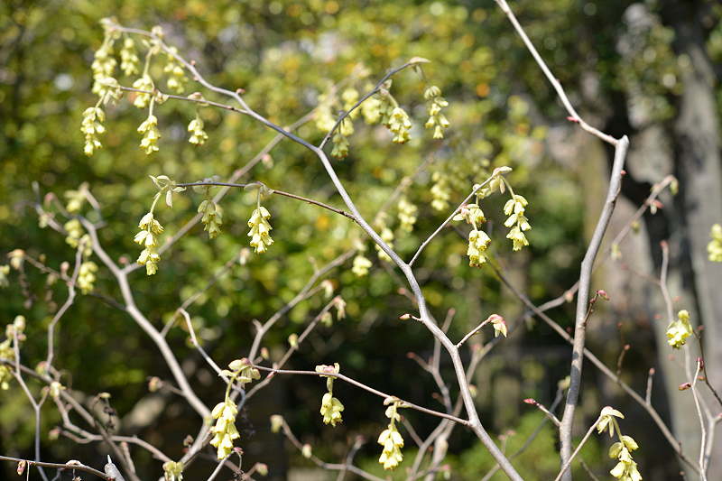 image0154