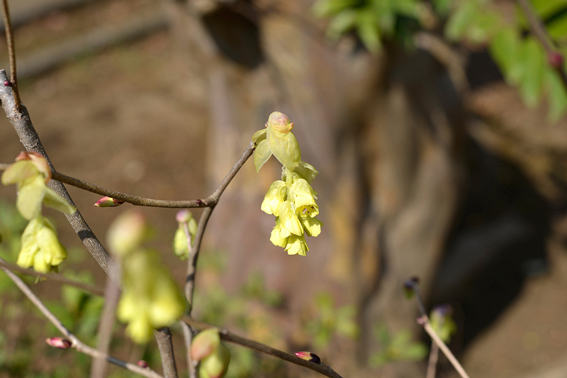 image0156