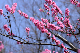 image0131