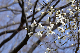 image0132