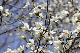 image0133