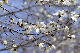 image0134