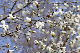 image0135