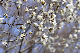 image0136