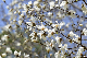 image0137