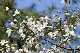 image0138