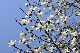 image0139