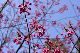 image0144