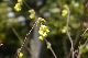 image0149