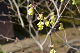 image0152