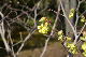 image0153