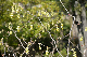 image0154