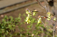 image0155