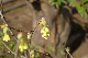 image0156