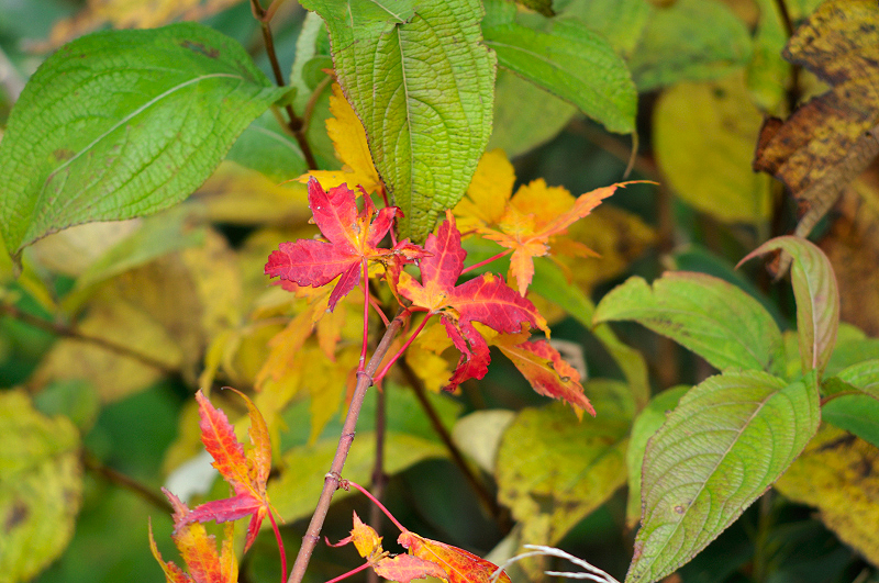 image0101