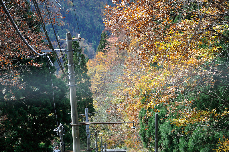 image0113
