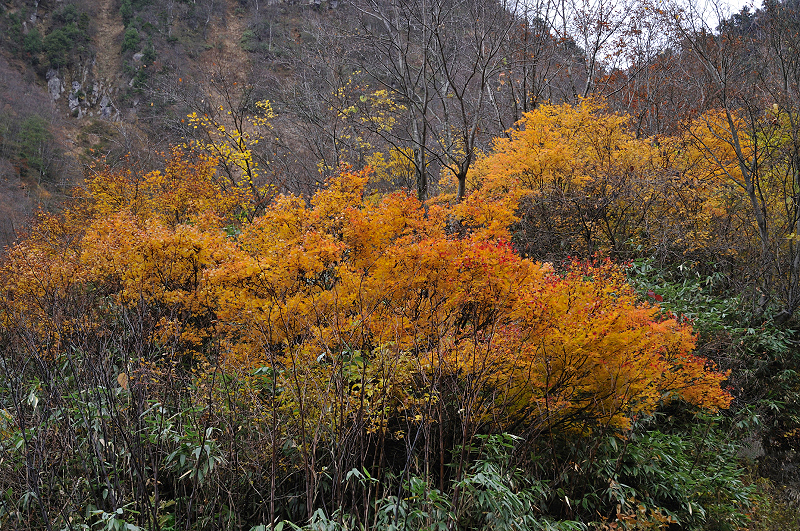 image0119
