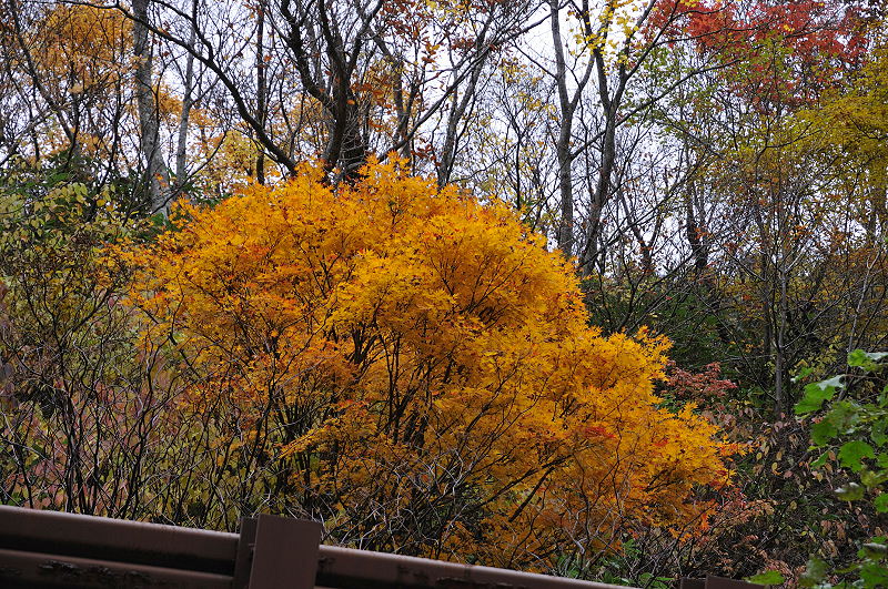image0120