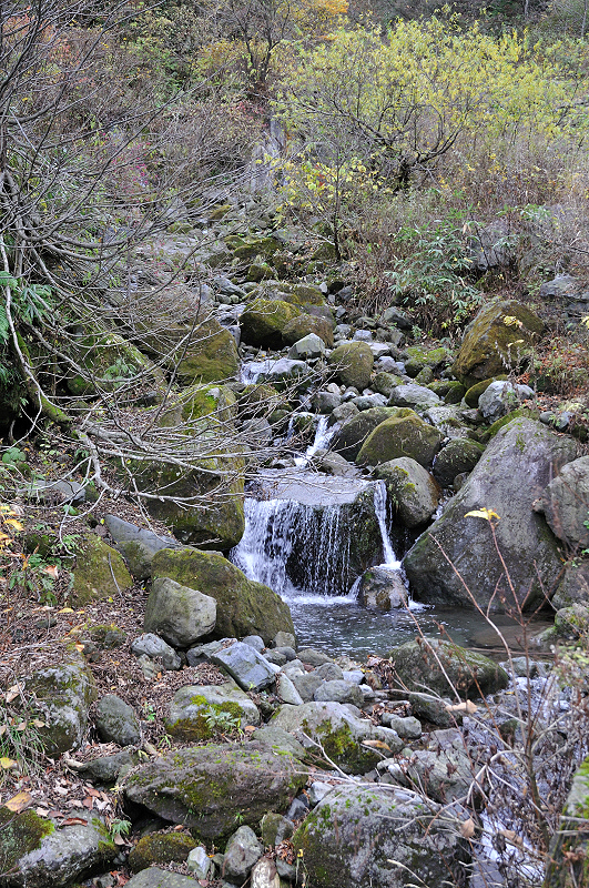 image0122