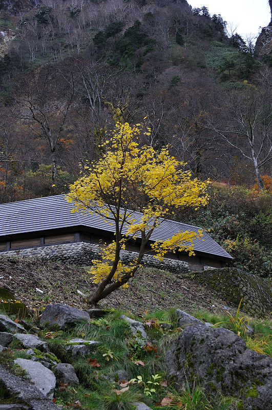 image0123