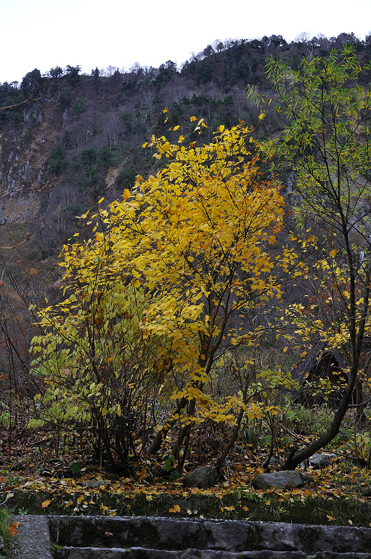 image0124