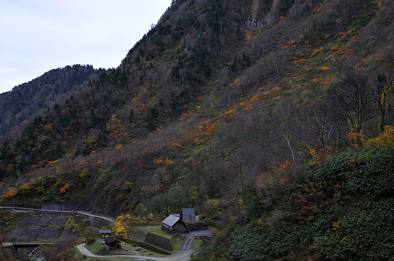 image0133