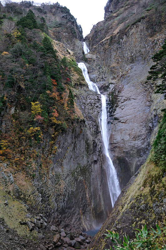 image0135