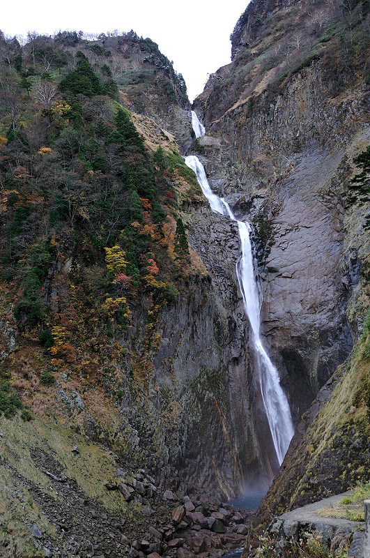 image0137
