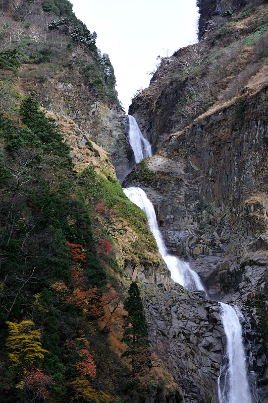 image0141