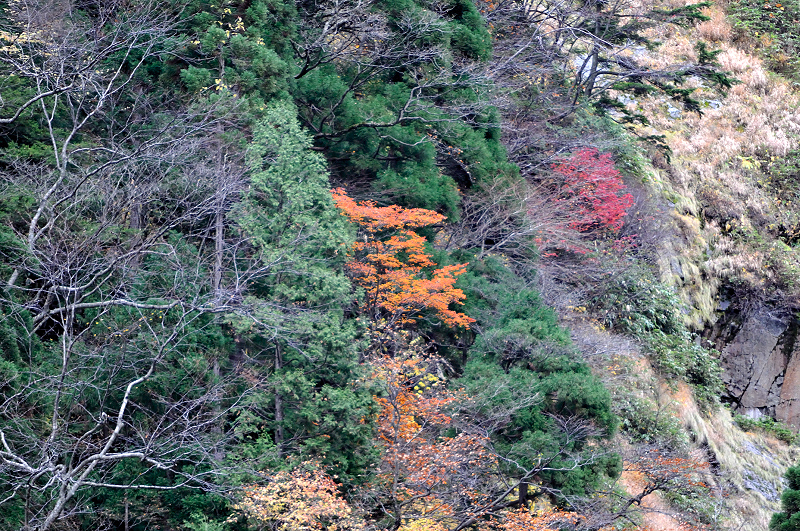 image0154