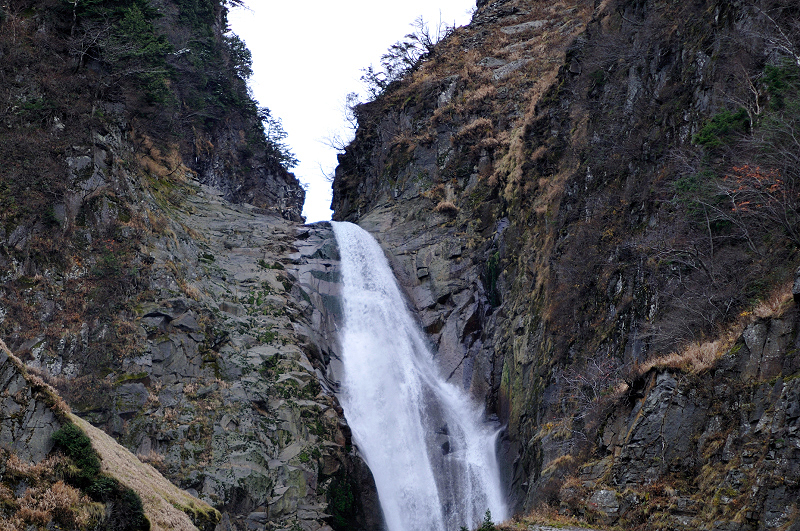 image0155