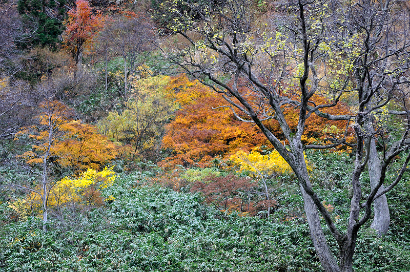 image0161