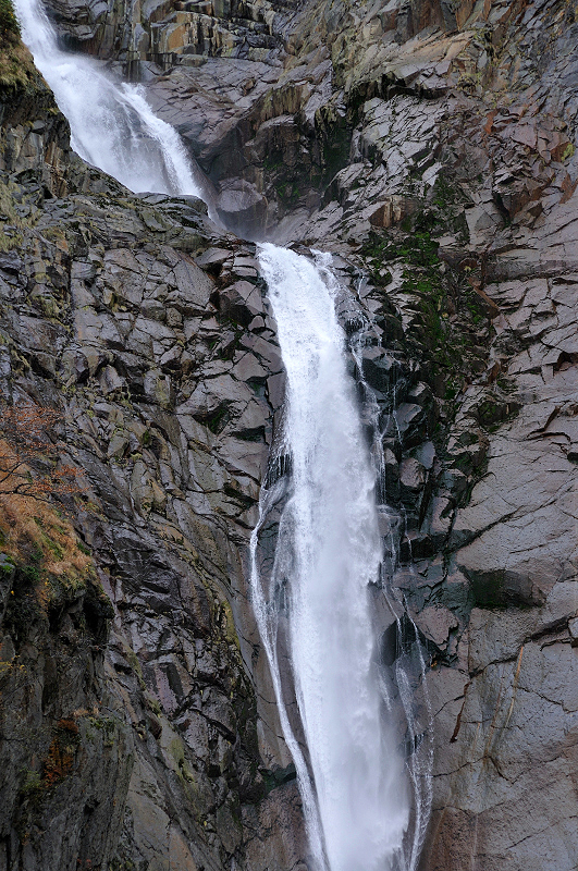 image0165