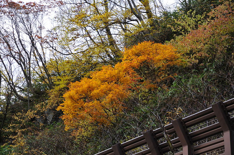 image0180