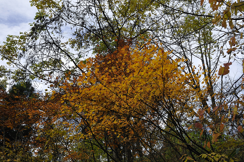 image0186