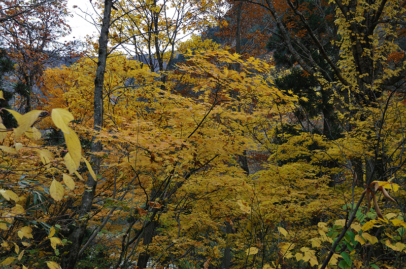 image0189