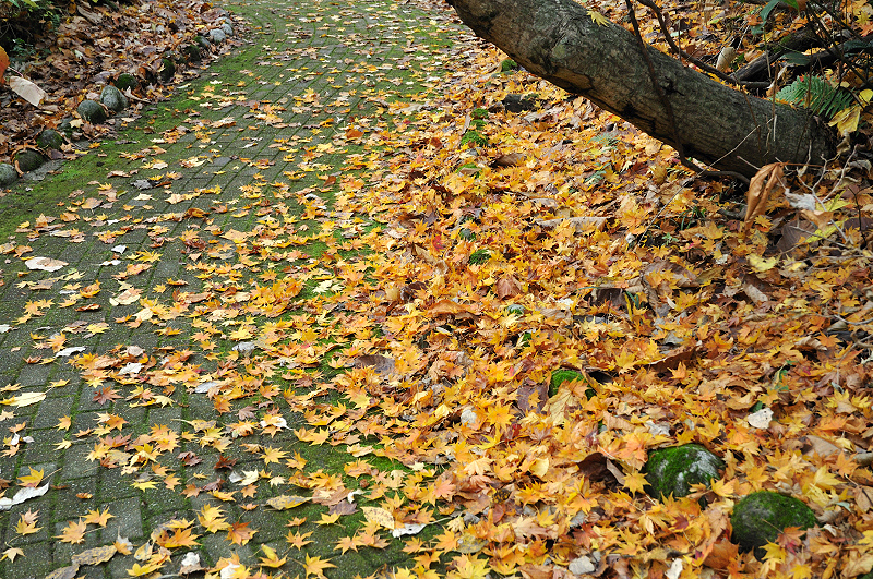 image0190