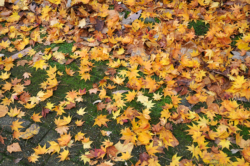 image0191