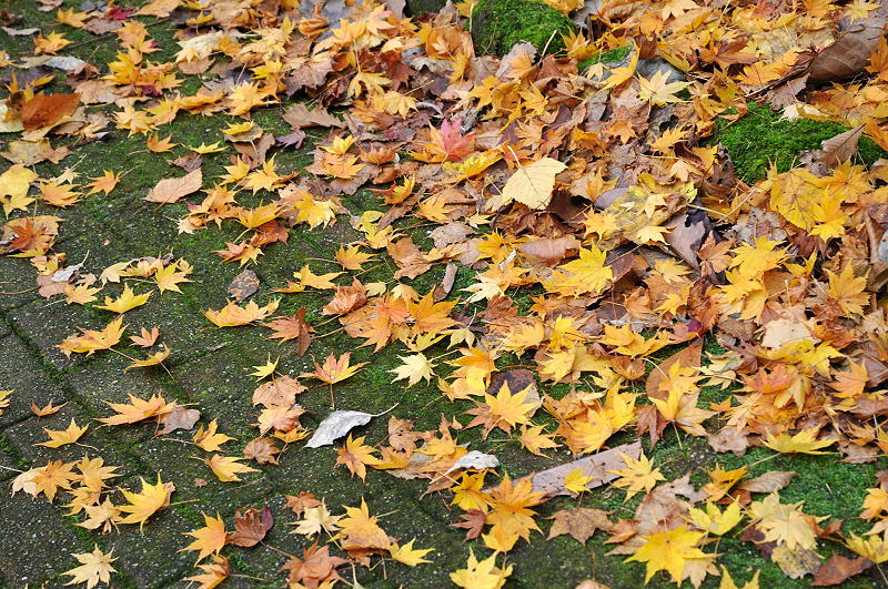 image0192